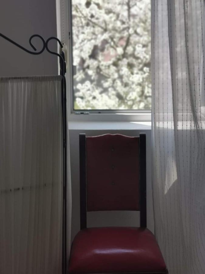 Casa File De Poveste Targu Jiu Luaran gambar