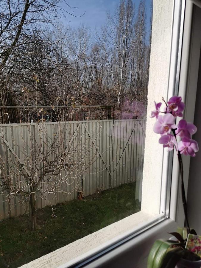 Casa File De Poveste Targu Jiu Luaran gambar