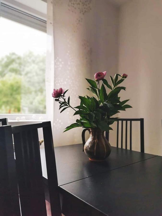 Casa File De Poveste Targu Jiu Luaran gambar
